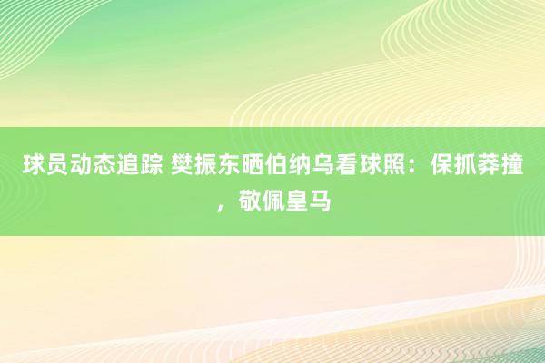 球员动态追踪 樊振东晒伯纳乌看球照：保抓莽撞，敬佩皇马