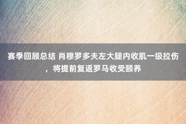 赛季回顾总结 肖穆罗多夫左大腿内收肌一级拉伤，将提前复返罗马收受颐养