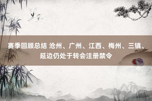 赛季回顾总结 沧州、广州、江西、梅州、三镇、延边仍处于转会注册禁令