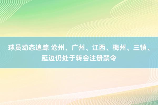 球员动态追踪 沧州、广州、江西、梅州、三镇、延边仍处于转会注册禁令