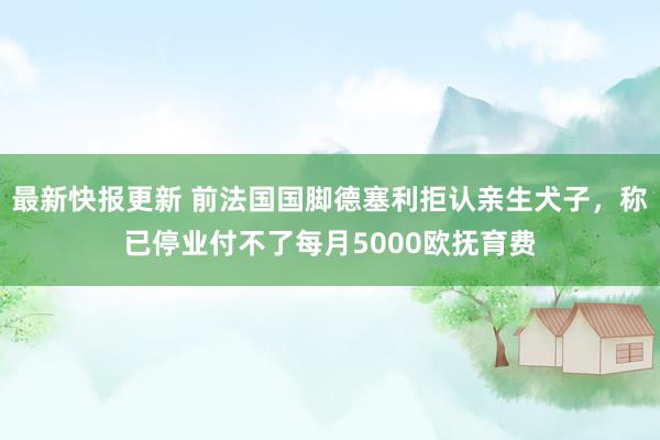 最新快报更新 前法国国脚德塞利拒认亲生犬子，称已停业付不了每月5000欧抚育费