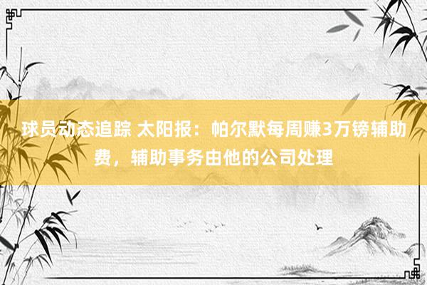 球员动态追踪 太阳报：帕尔默每周赚3万镑辅助费，辅助事务由他的公司处理