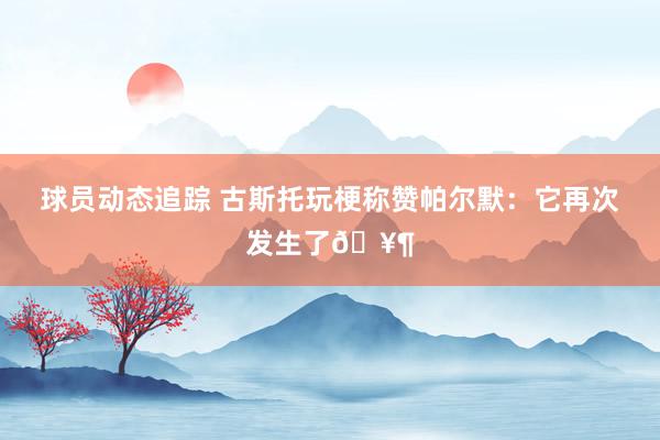 球员动态追踪 古斯托玩梗称赞帕尔默：它再次发生了🥶