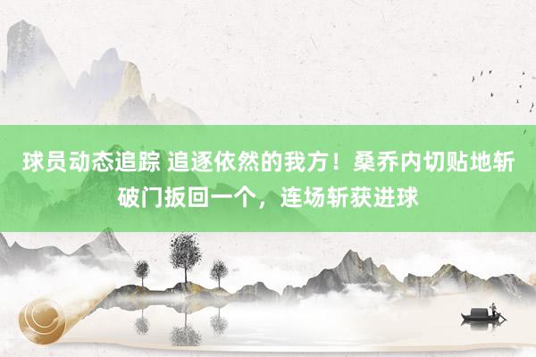 球员动态追踪 追逐依然的我方！桑乔内切贴地斩破门扳回一个，连场斩获进球